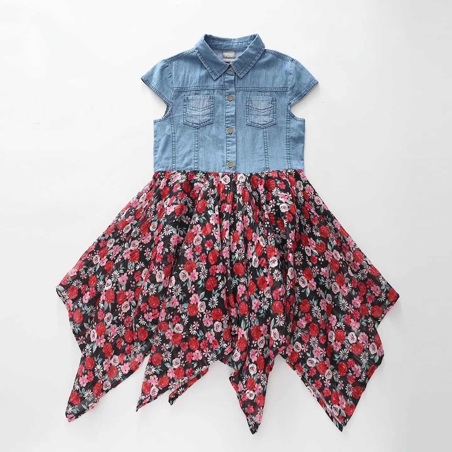 Denim and Rose Print Dress